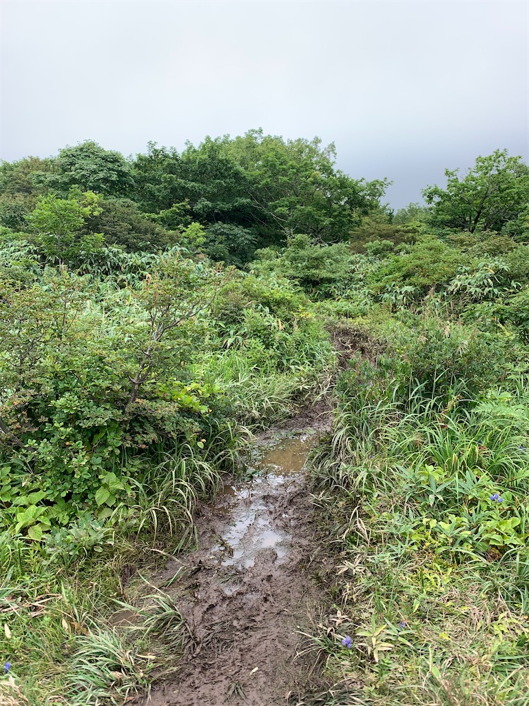 f:id:rungraph:20200913073619j:image f:id:rungraph:20200913073619j:image