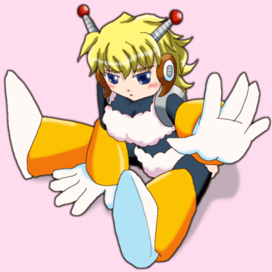 f:id:runguard:20100207001438p:image