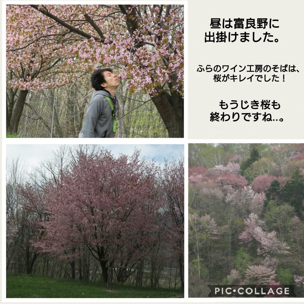 f:id:runken1125:20180508195318j:plain