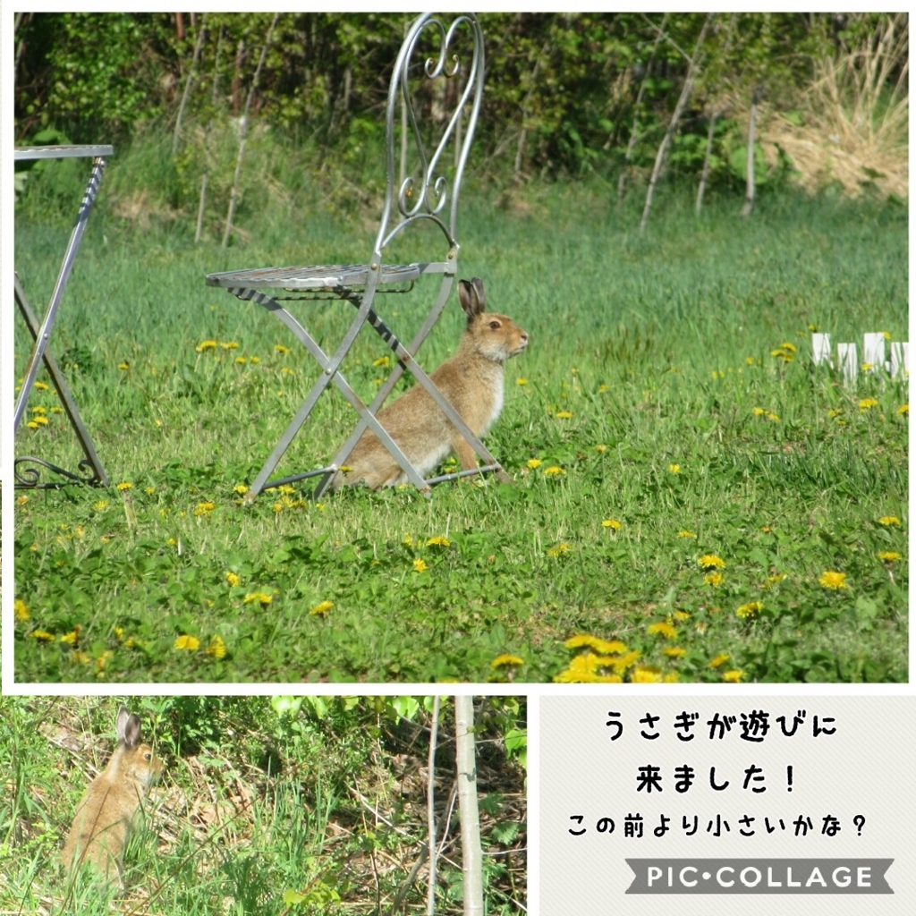 f:id:runken1125:20180520192623j:plain f:id:runken1125:20180520192623j:plain