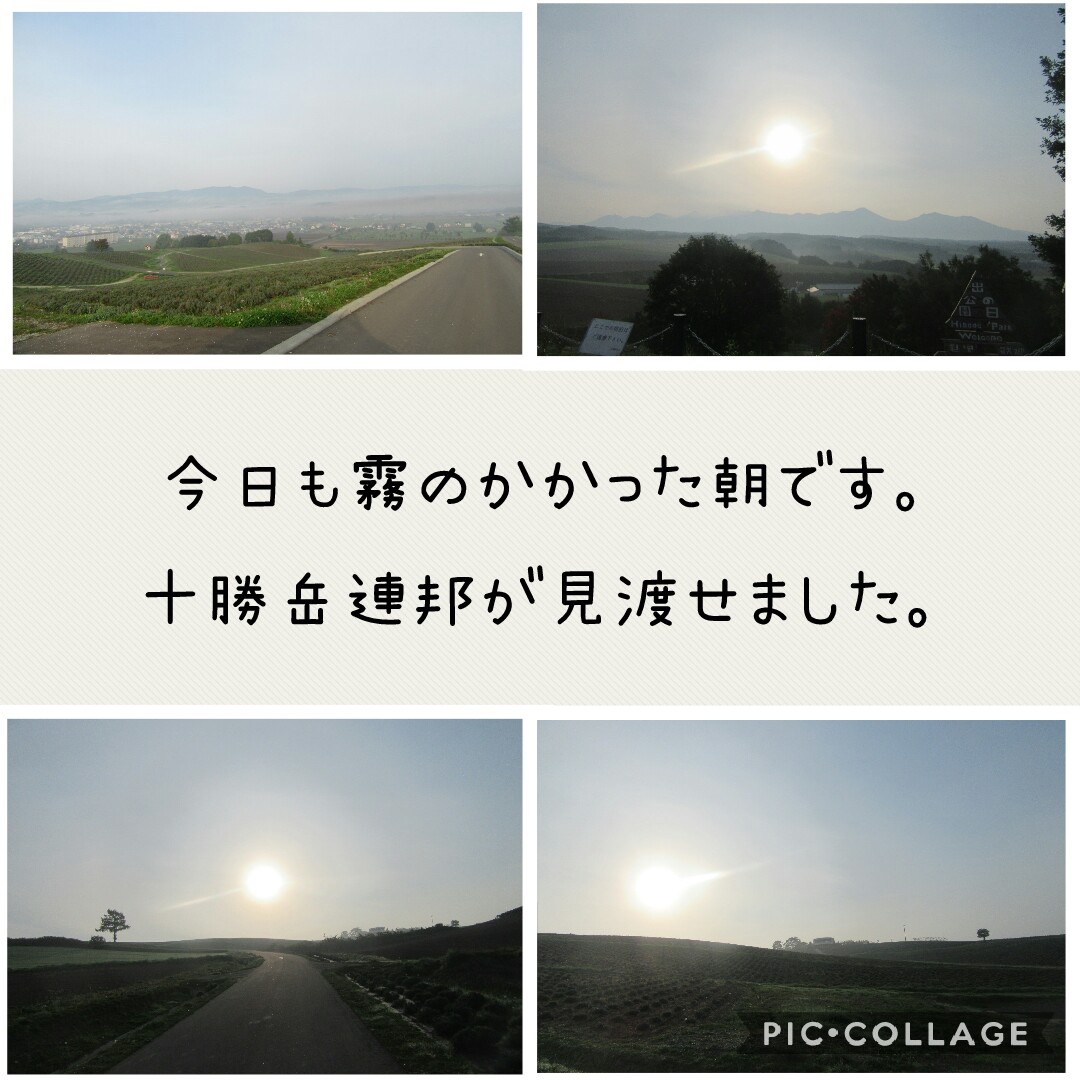 f:id:runken1125:20191004190532j:plain