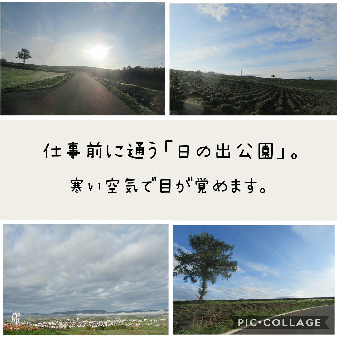 f:id:runken1125:20191009050032j:plain
