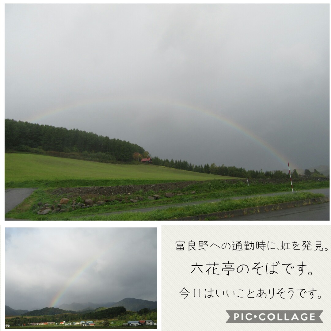 f:id:runken1125:20191009192455j:plain