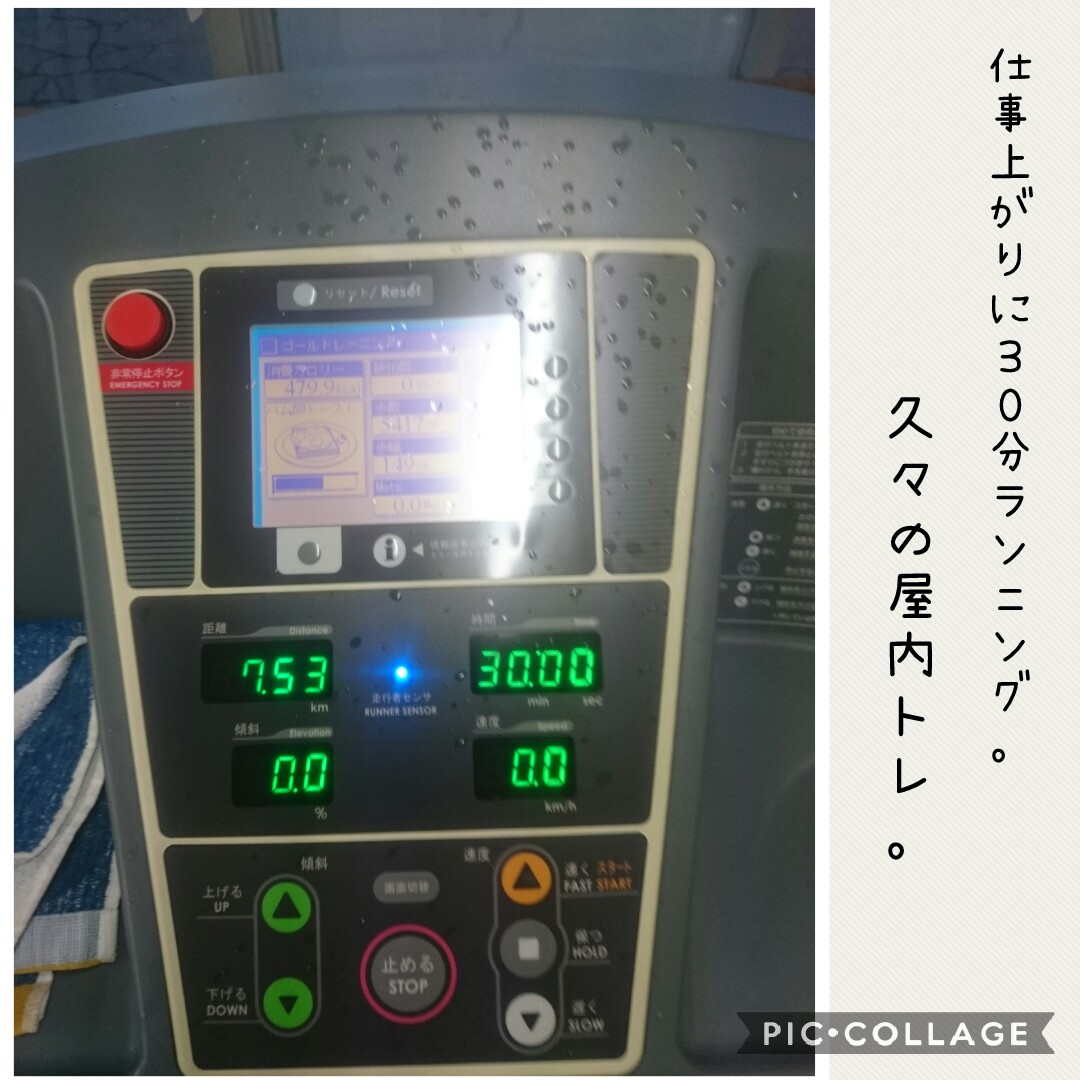 f:id:runken1125:20191009192602j:plain