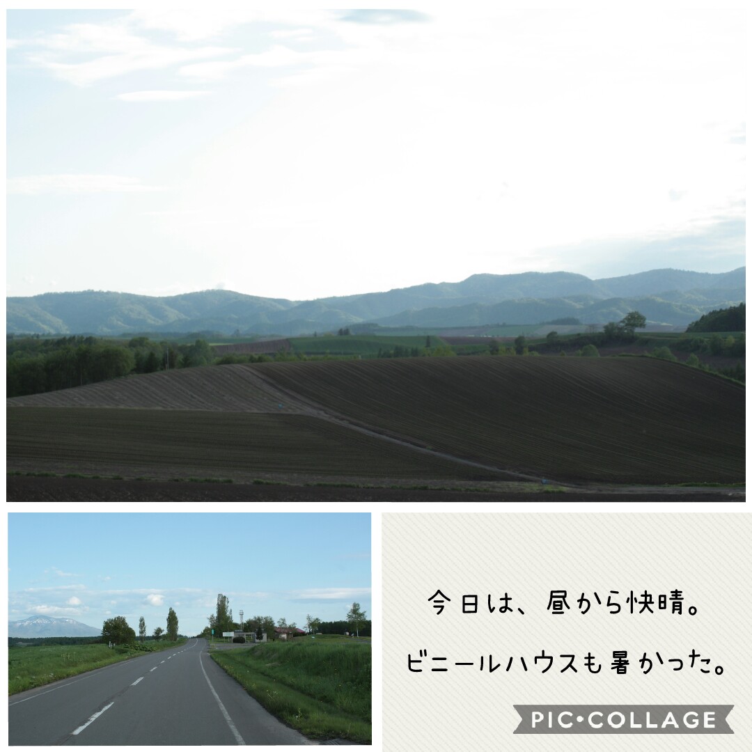 f:id:runken1125:20200528194831j:plain