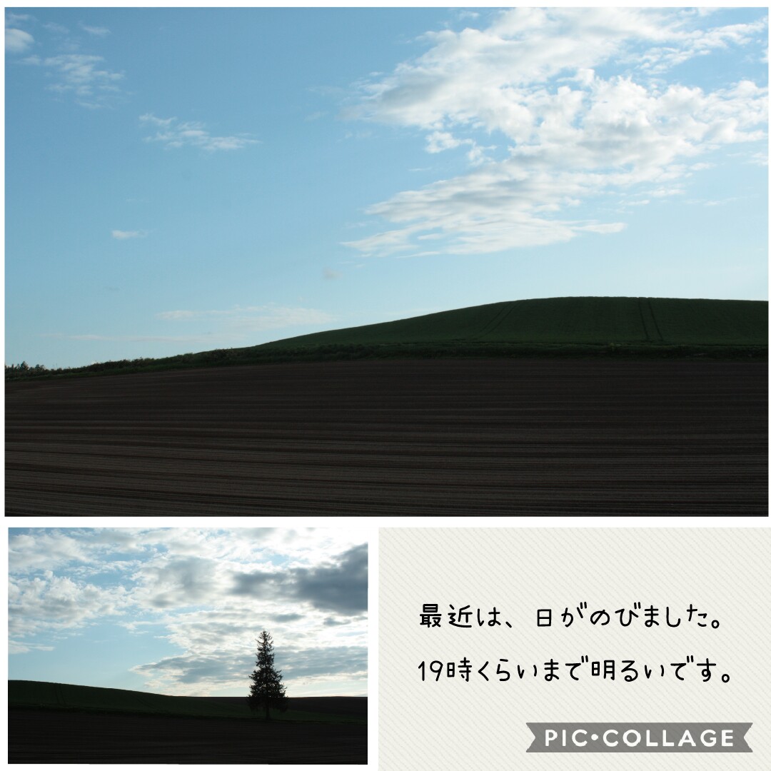 f:id:runken1125:20200528194855j:plain