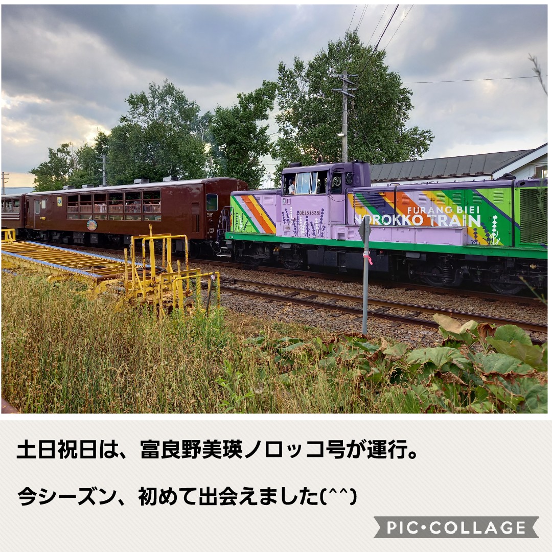 富良野・美瑛のノロッコ号」総まとめ(2014年夏版)～平成26年夏