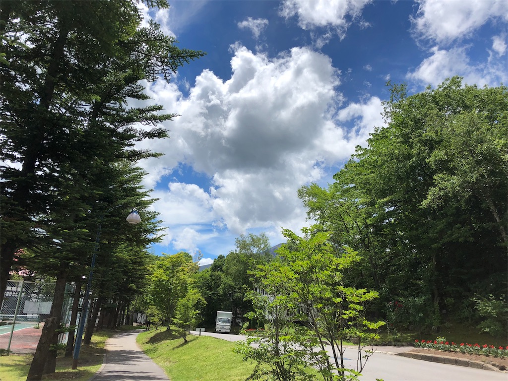 f:id:runmakino:20180703091347j:plain