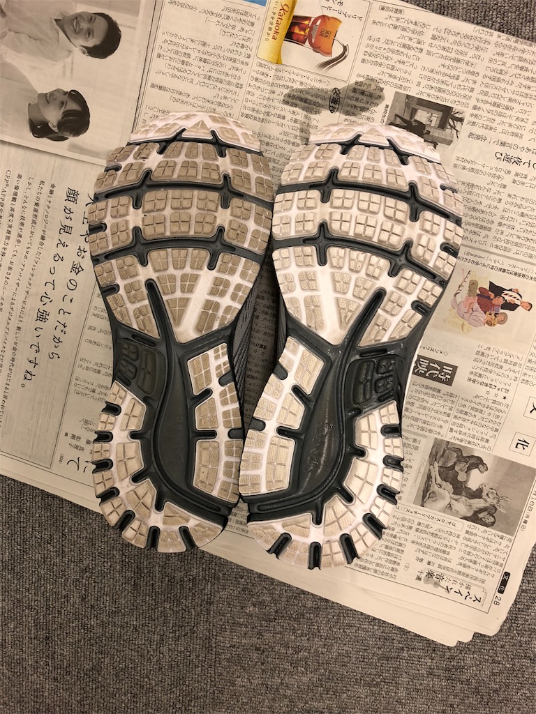 f:id:runmakino:20180719112700j:image f:id:runmakino:20180719112700j:image