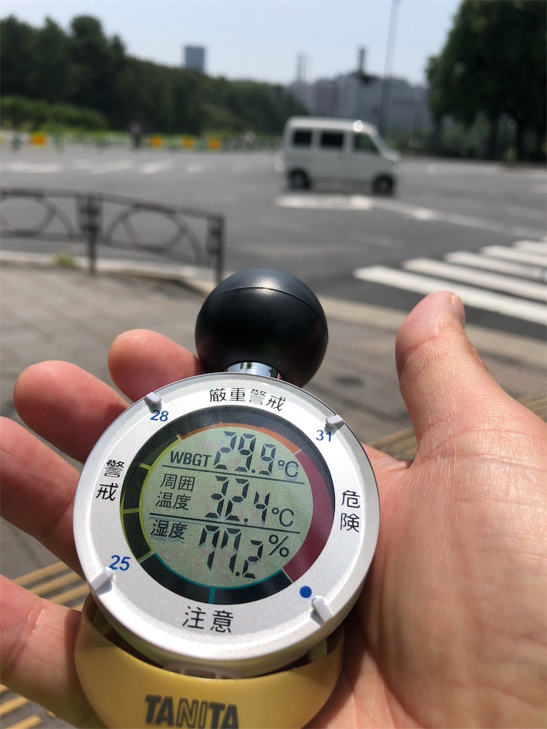 f:id:runmakino:20180721145010j:image