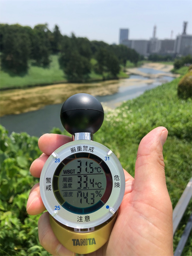 f:id:runmakino:20180721145025j:image