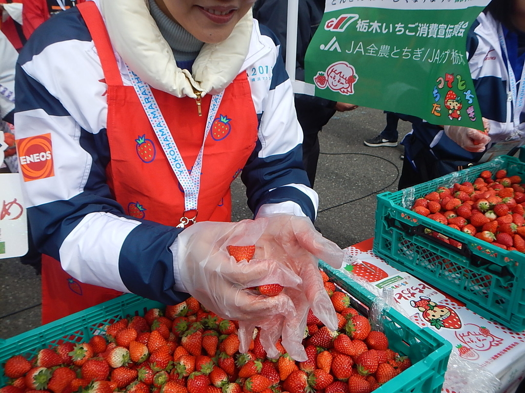 f:id:runmakino:20181023173652j:plain f:id:runmakino:20181023173652j:plain