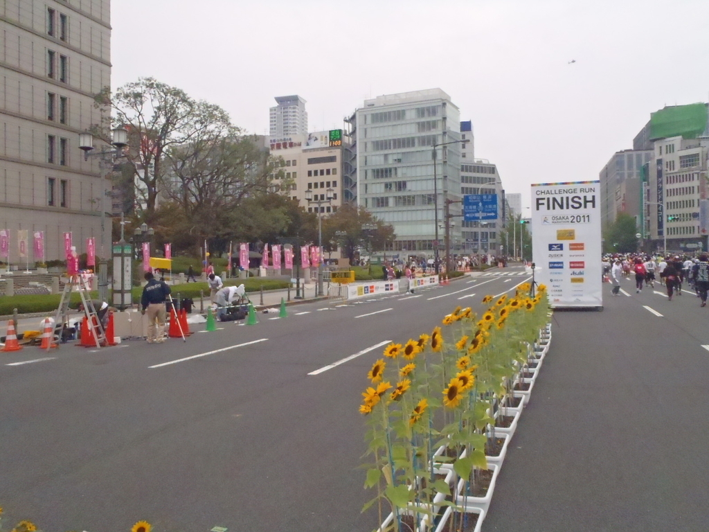 f:id:runmakino:20181119154822j:plain