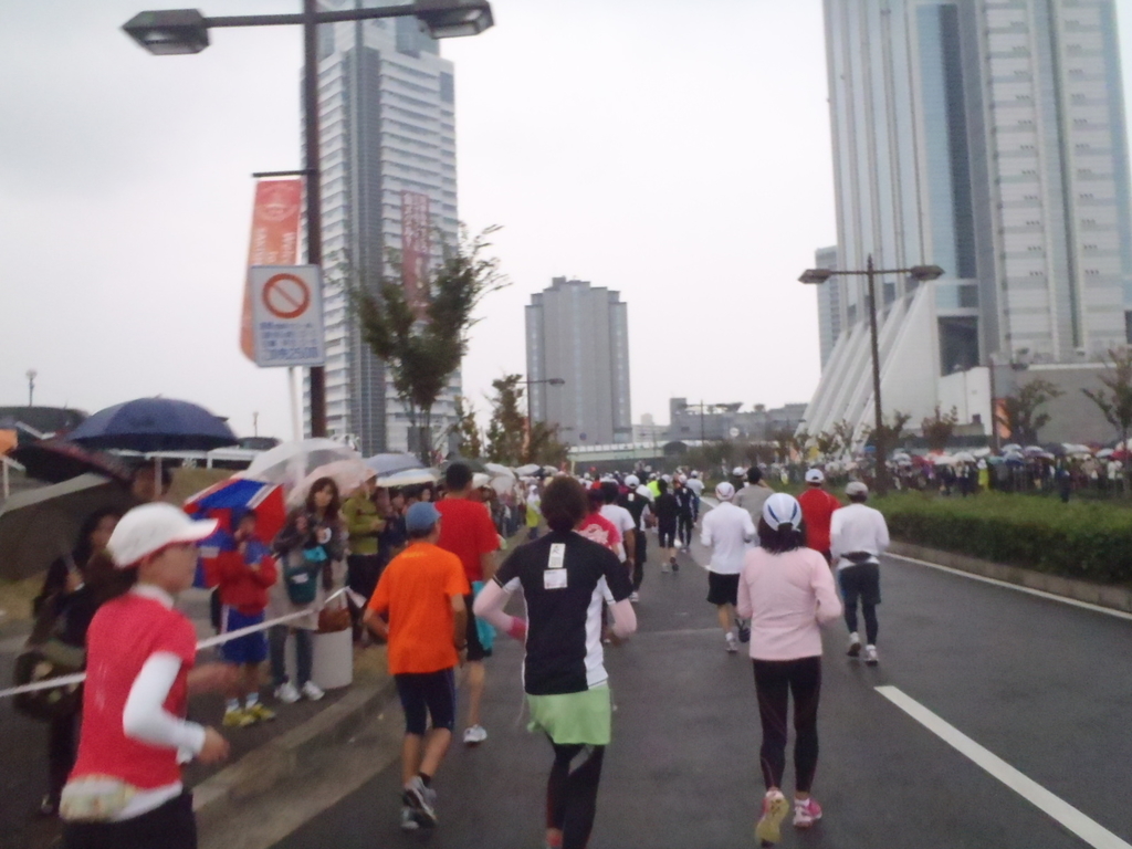 f:id:runmakino:20181120143433j:plain f:id:runmakino:20181120143433j:plain
