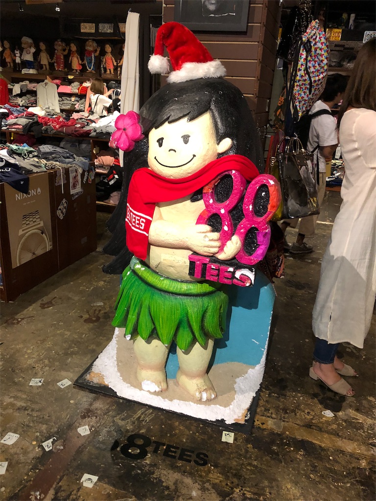 f:id:runmakino:20181223203218j:plain f:id:runmakino:20181223203218j:plain