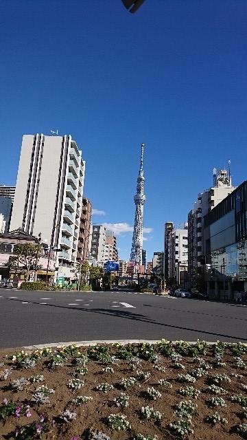 f:id:runmakino:20181230182304j:plain