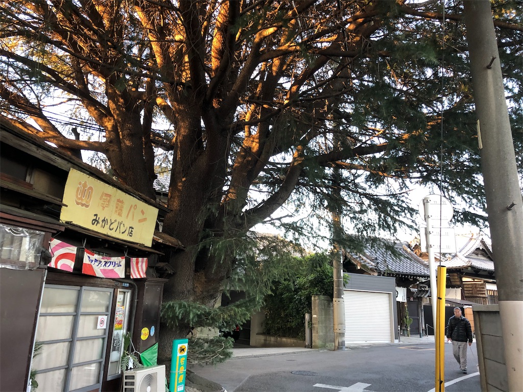 f:id:runmakino:20190101101909j:plain