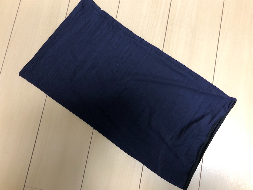 f:id:runmakino:20190130113729j:image