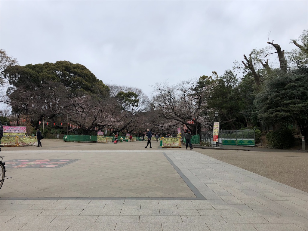 f:id:runmakino:20190323171715j:image