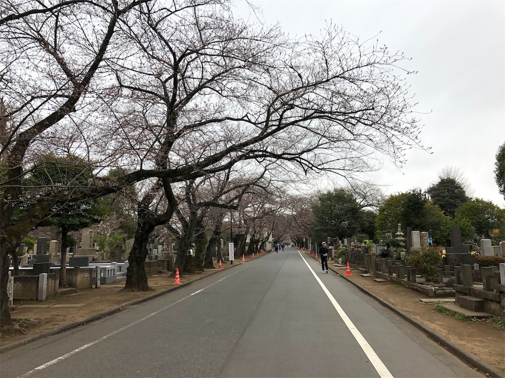f:id:runmakino:20190323171756j:image