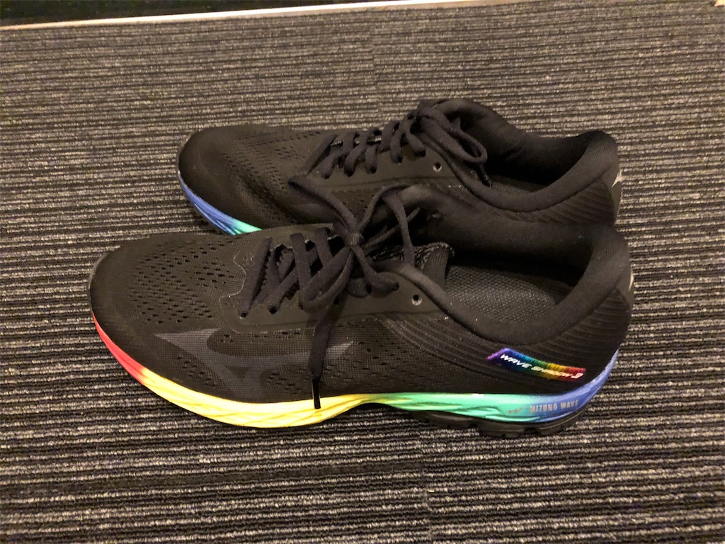 f:id:runmakino:20190629135436j:plain