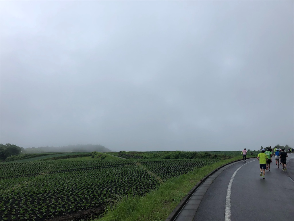 f:id:runmakino:20190701103159j:plain f:id:runmakino:20190701103159j:plain