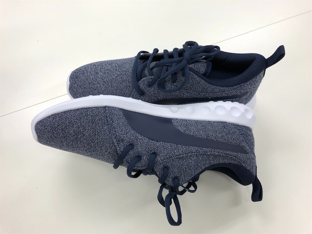 f:id:runmakino:20190705084219j:plain