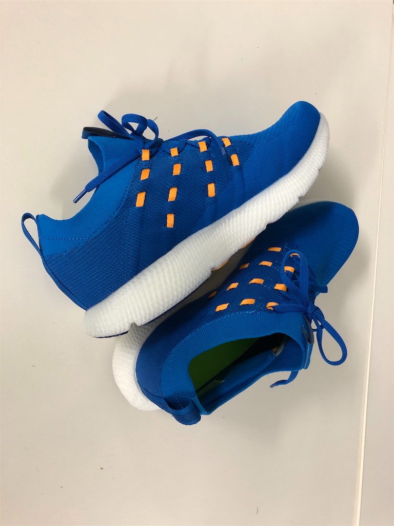 f:id:runmakino:20190714140003j:plain