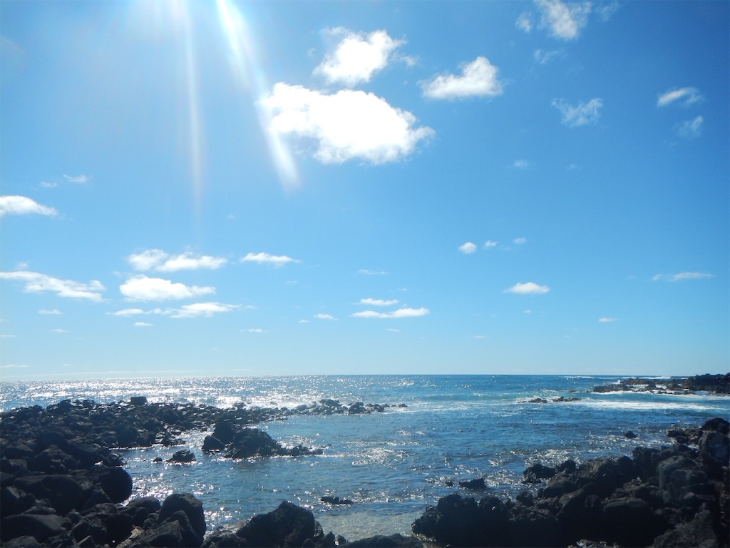 f:id:runmakino:20191224091436j:image f:id:runmakino:20191224091436j:image