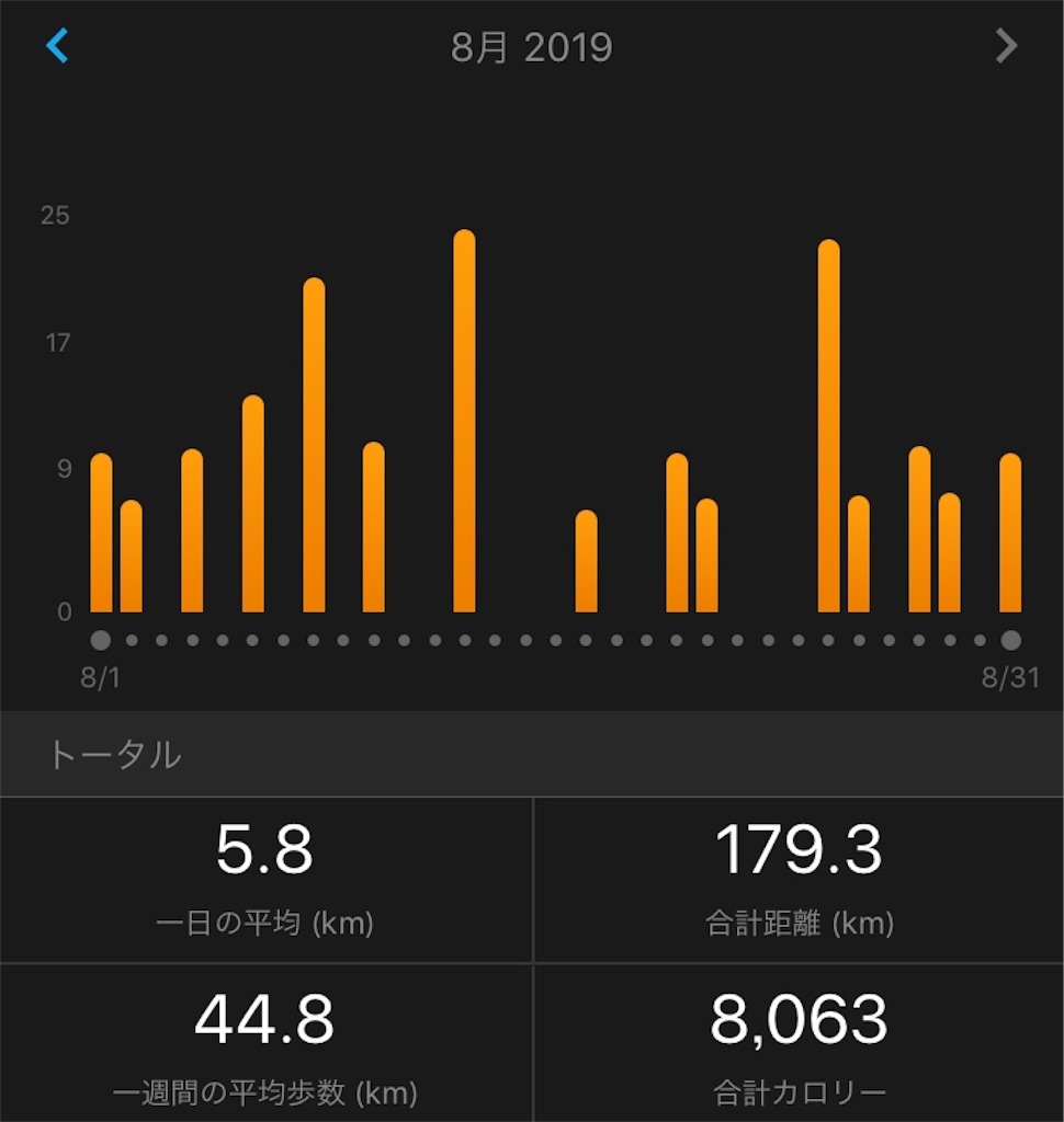 f:id:runmelonpanda:20190902172233j:image f:id:runmelonpanda:20190902172233j:image