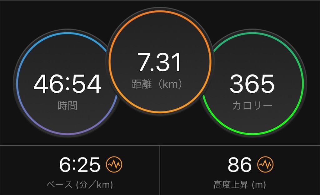 f:id:runmelonpanda:20200211235011j:image f:id:runmelonpanda:20200211235011j:image