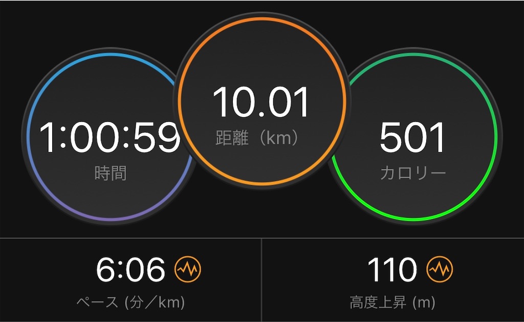 f:id:runmelonpanda:20200214140420j:image f:id:runmelonpanda:20200214140420j:image