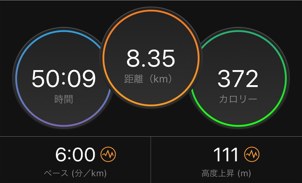f:id:runmelonpanda:20200220184313j:image f:id:runmelonpanda:20200220184313j:image