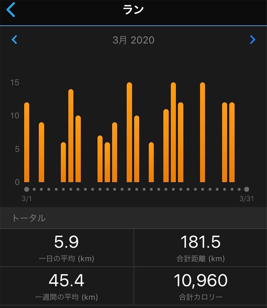 f:id:runner1974:20200401073852j:image f:id:runner1974:20200401073852j:image