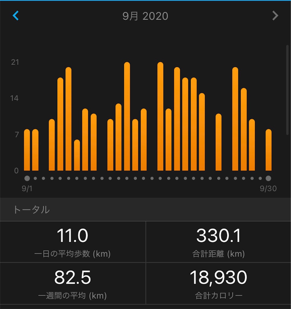 f:id:runner1974:20200930234047j:image f:id:runner1974:20200930234047j:image