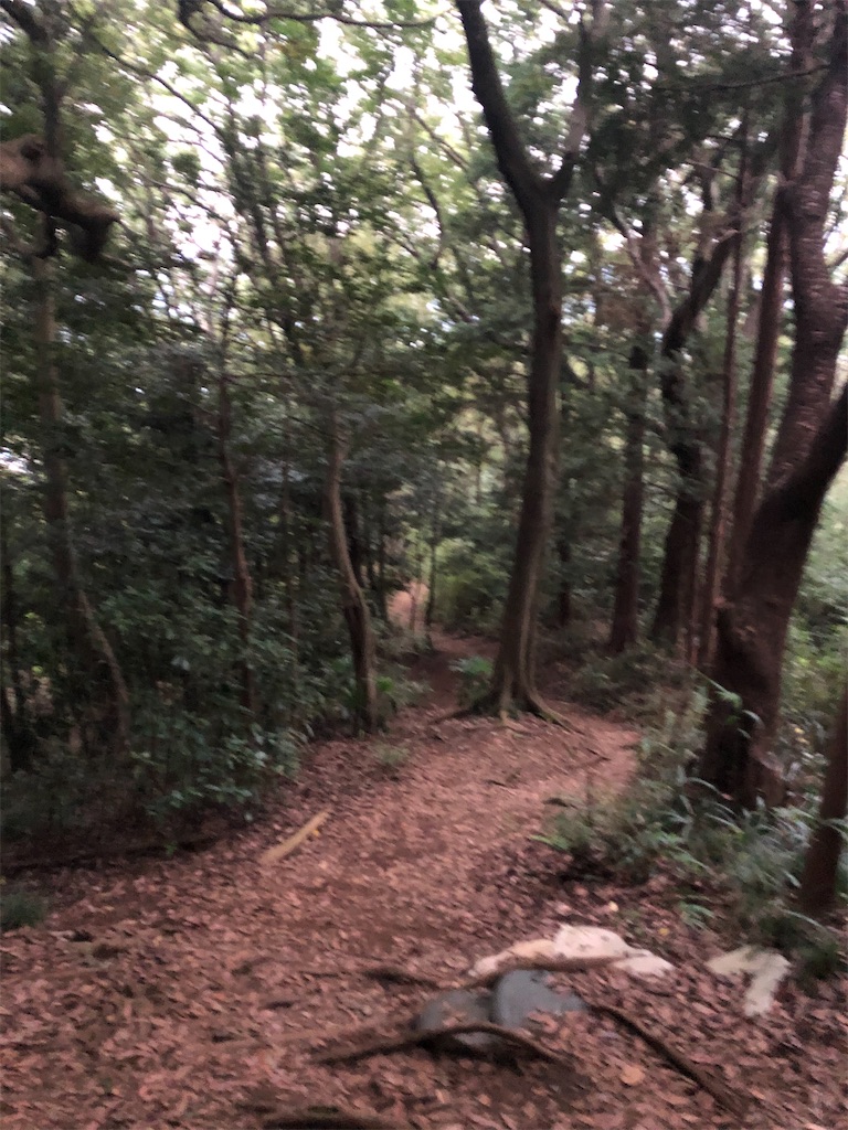 f:id:runner1974:20201017152946j:image