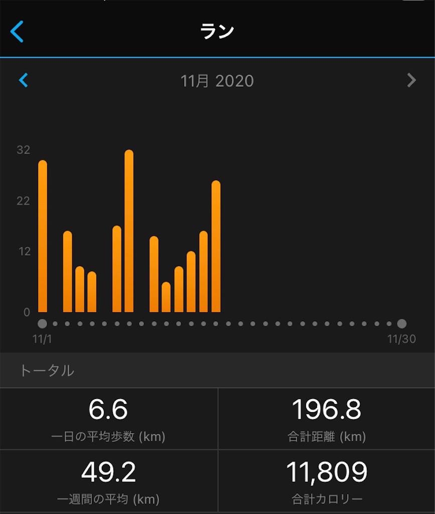 f:id:runner1974:20201116064126j:image f:id:runner1974:20201116064126j:image