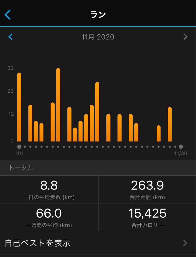f:id:runner1974:20201130232715j:image f:id:runner1974:20201130232715j:image