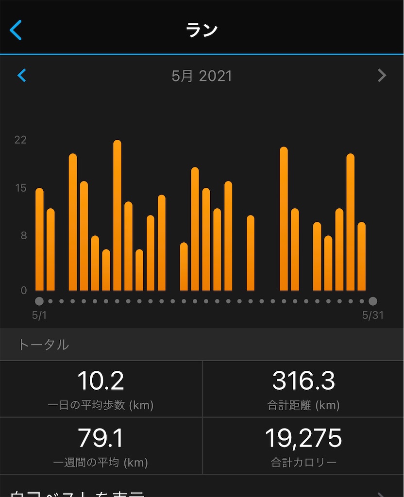 f:id:runner1974:20210531000805j:plain