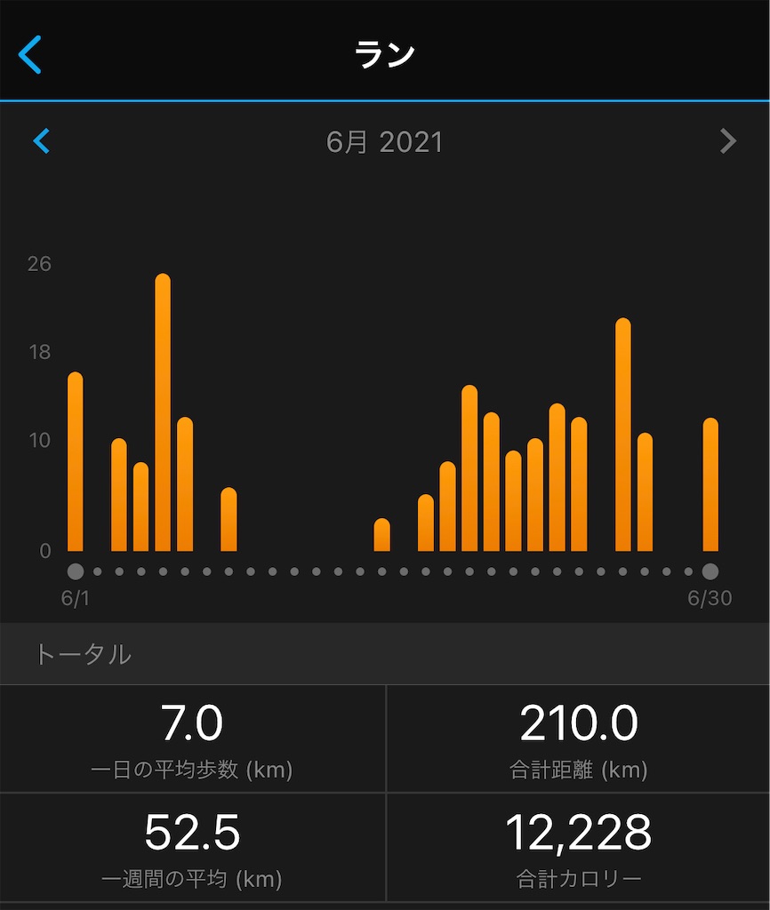 f:id:runner1974:20210630080424j:plain