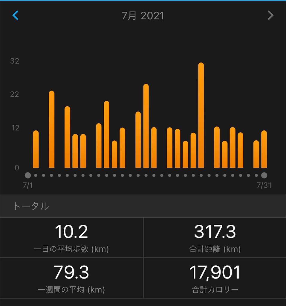 f:id:runner1974:20210731225341j:plain