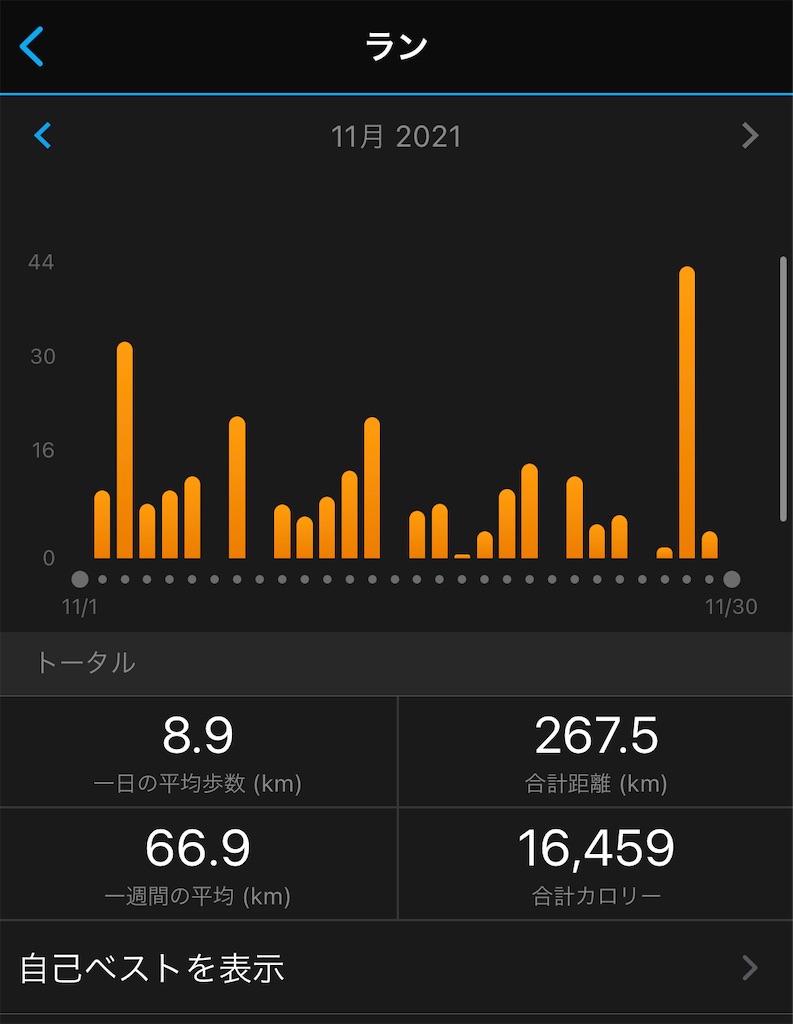 f:id:runner1974:20211130174933j:plain