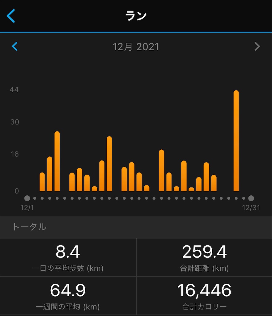 f:id:runner1974:20211231131023j:plain