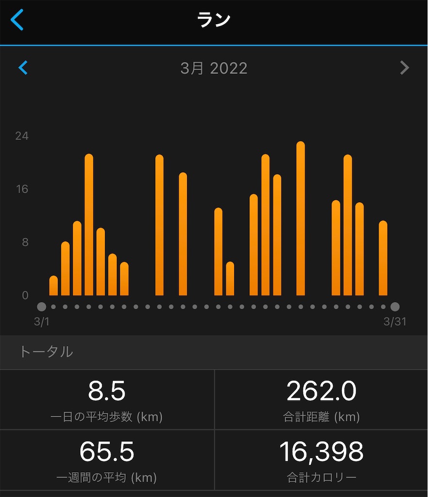 f:id:runner1974:20220401064314j:plain