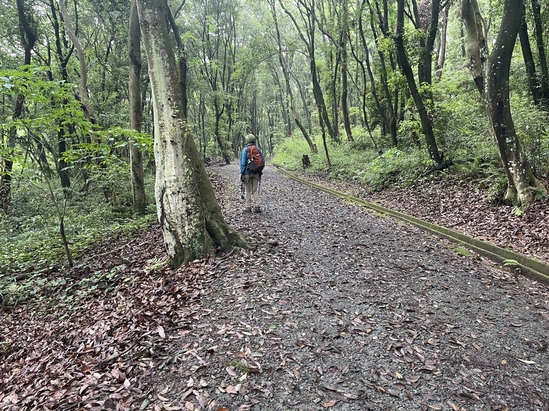2025散歩㉛…サンコウチョウに逢いたくて - 夫婦で山歩き