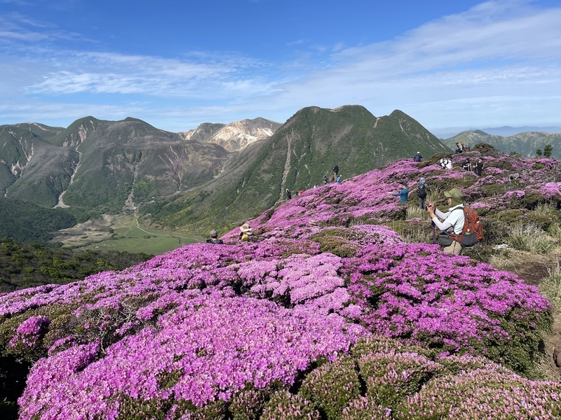 平治岳……ミヤマキリシマに逢いたくて - 夫婦で山歩き