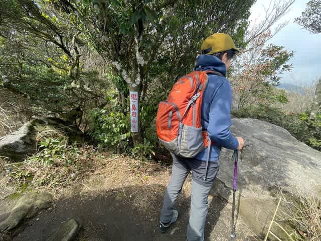 山採り　マンサク マンサクの咲く山を3つ紹介！マンサクが見れる季節や種類も紹介