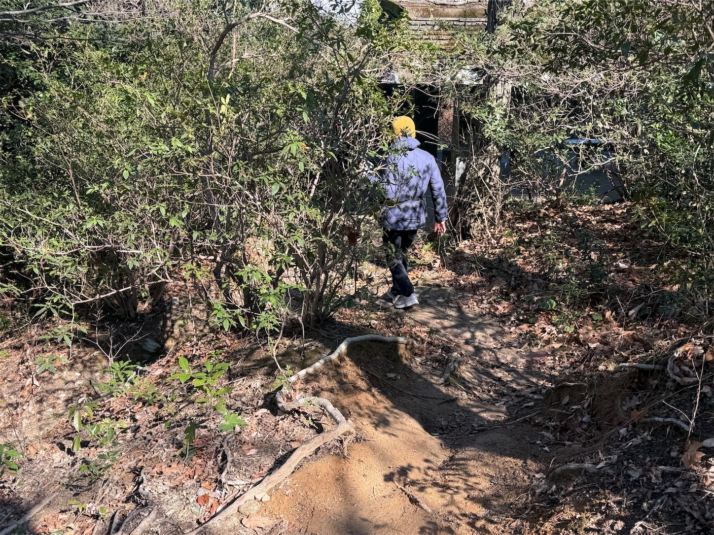 f:id:runner524:20260212221607j:image f:id:runner524:20260212221607j:image