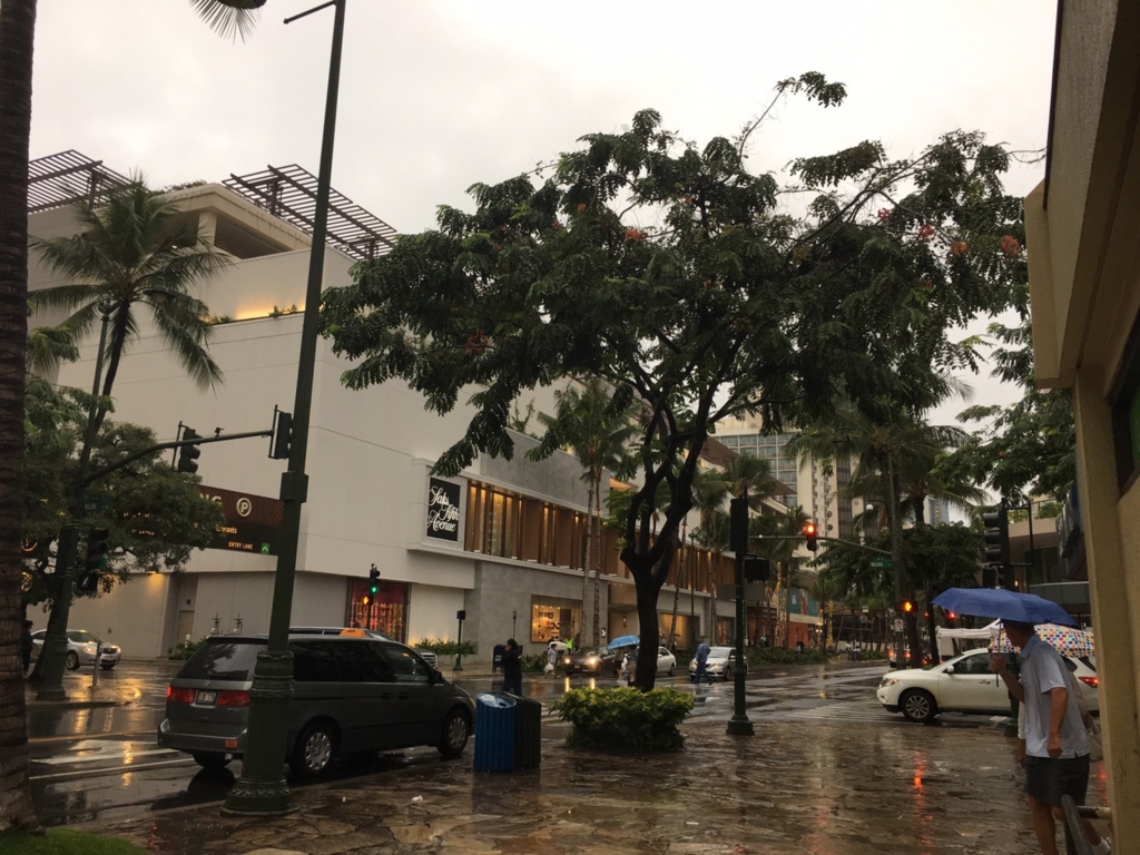 f:id:runners-honolulu:20170326162530j:plain f:id:runners-honolulu:20170326162530j:plain