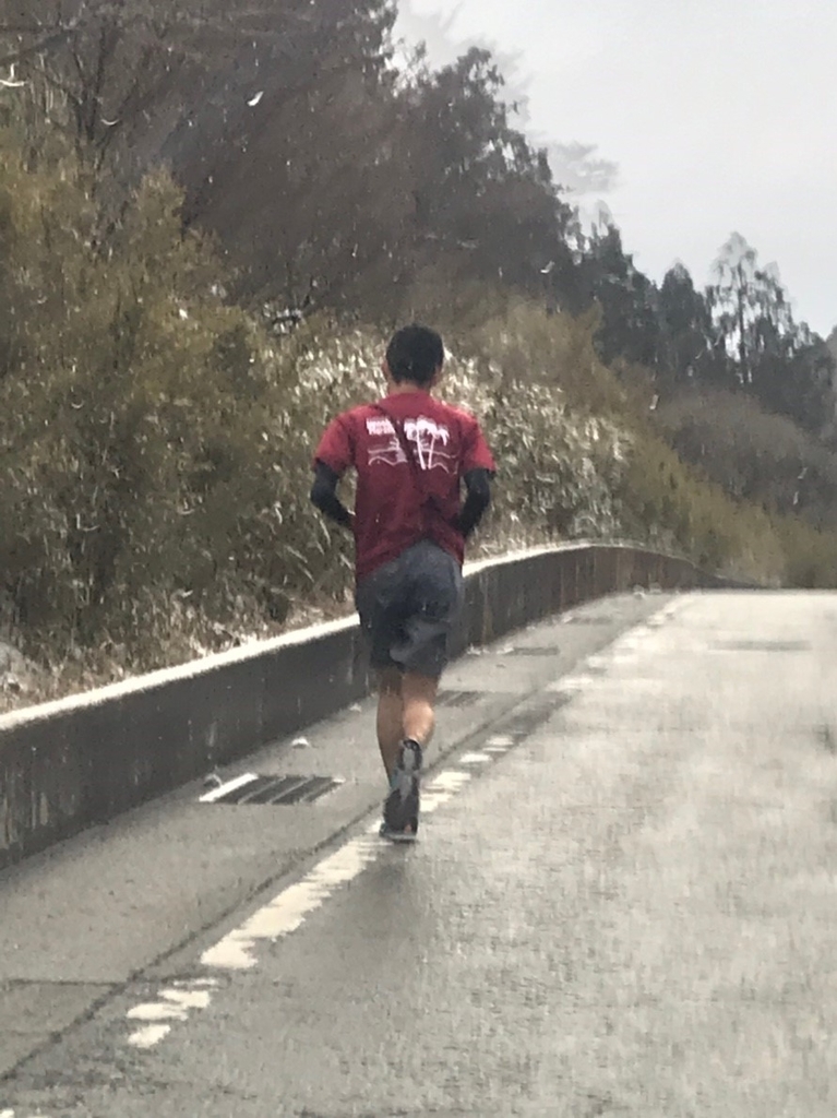 f:id:runners-honolulu:20190216155343j:plain f:id:runners-honolulu:20190216155343j:plain